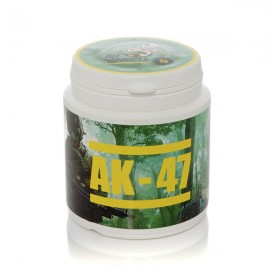 Cogollos de cañamo ricos en CBD AK 47 de CBD Bee