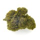 Cogollos de cañamo ricos en CBD Monkey Kush de CBD Bee