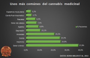 Usos cannabis medicinal