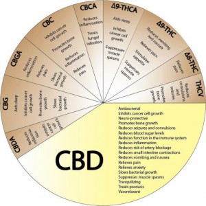 tabla-de-cannabis